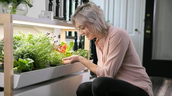 5 Shifts That Make You Rethink Your Smart Farm Playbook